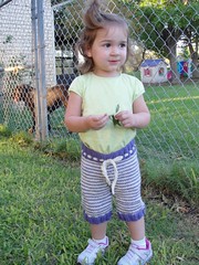 2011 April Stripe Shorts 3