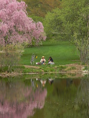 Boston Photo Peeps: Arnold Arboretum