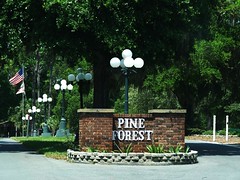Pine Forest Cemetery, Mt Dora FL