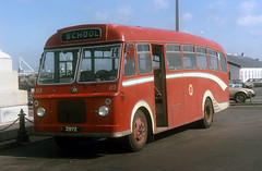 Channel island Buses