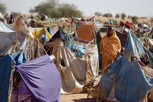 As Darfur Fighting Continues, Thousands Flee to IDP Camp