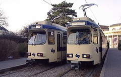 European Trams
