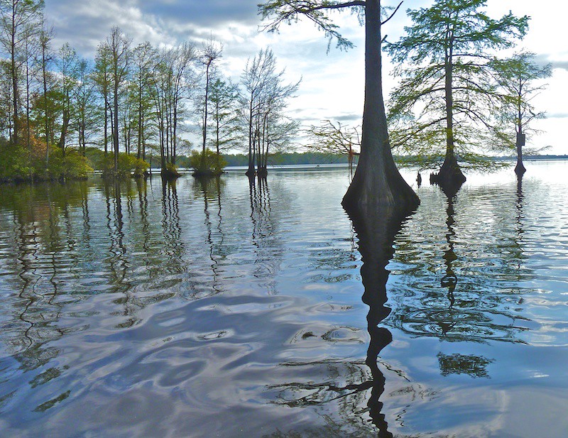 Great Dismal Swamp - Lake Drummond