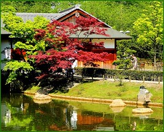 Hasselt Japanese Garden