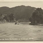 Burg Werfenstein und Insel Wörth 34