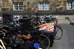 Danish Parliament - A Fraction of the Bike Racks Outside "Borgen"