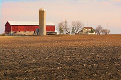 Wisconsin Farms