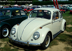 VW Summer 2007