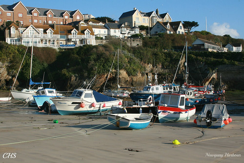 Newquay Harbour by Stocker Images