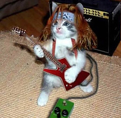 gato rockero por adriana-escobar