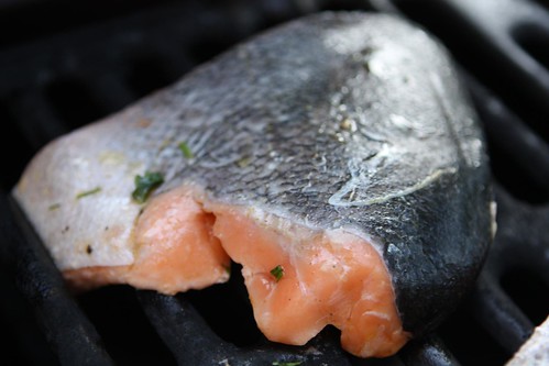 Salmon on a Cold Grill