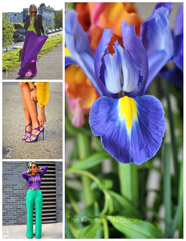Purple and Yellow Collage