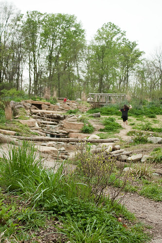 Charles and Marge Schott Nature Playscape