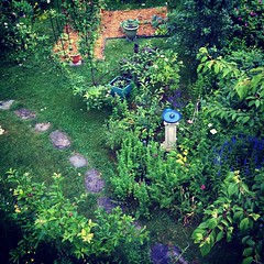 June 25 garden #organicgarden #urbangarden #zone6a