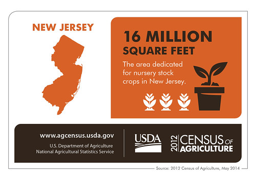 New Jersey really is the Garden State –  the state doubled its square footage for nursery stock crops in between the 2007 and the 2012 Census of Agriculture.  Check back next Thursday for another state profile.