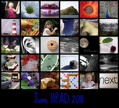 June HPAD 2011