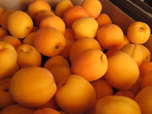 Local Apricots