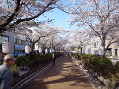 鎌倉 Kamakura