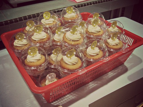 malt cupcakes