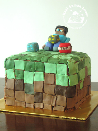 He is 8 years old now, a Minecraft fondant cake