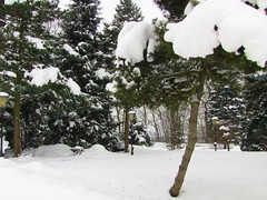 Winter 2011