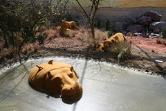 Les Sculptures de sable géants du Touquet Paris-Plage - L'Afrique - 2008
