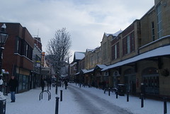 Snowy Preston 2010