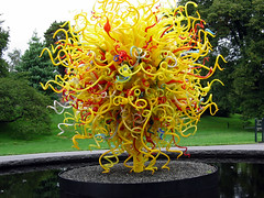 Dale Chihuly at the NYBG