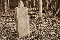 Private Cemetery ~ Toney AL