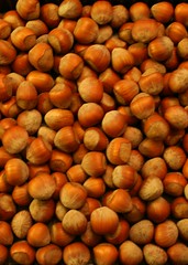 Hazelnuts Fill My Thoughts 