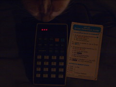 Calculating Cat