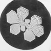 Snowflake Study by Smithsonian Institution