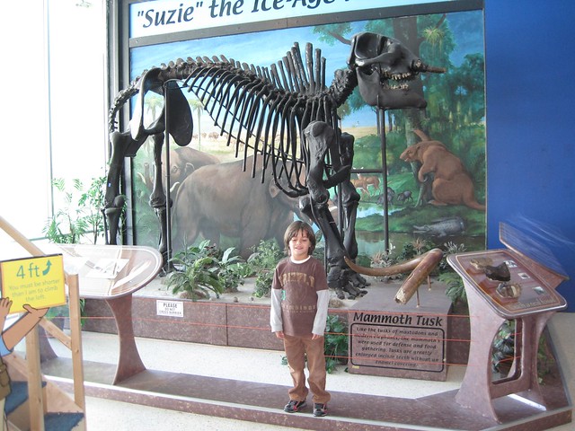 childrens museums in florida	