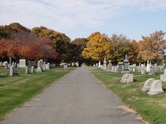 Saint Mary's Cemetery, Salem, Mass.