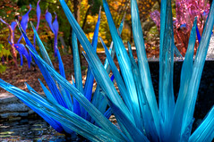 Dale Chihuly Exhibitions