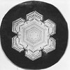 Snowflake Study by Smithsonian Institution