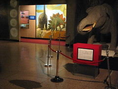 Shanghai Museum of Natural History 2011