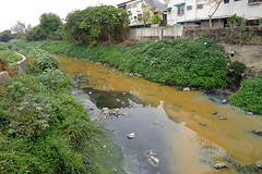 歷史畫面，台南永康大牌疑遭橘色廢水污染（晁瑞光攝）