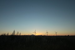windmills(vindmøller)