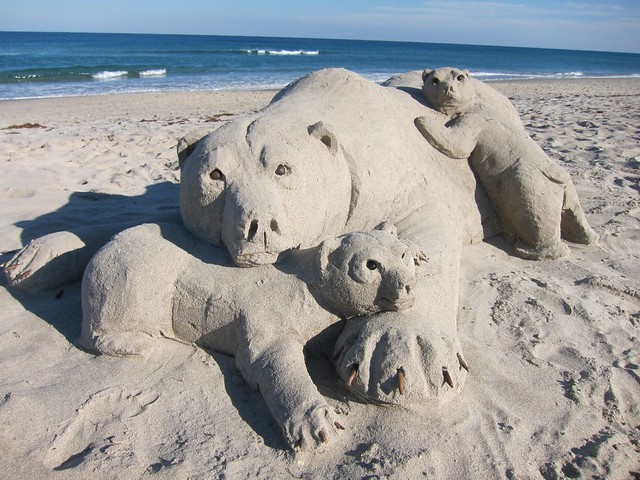 Delray Beach Bear family