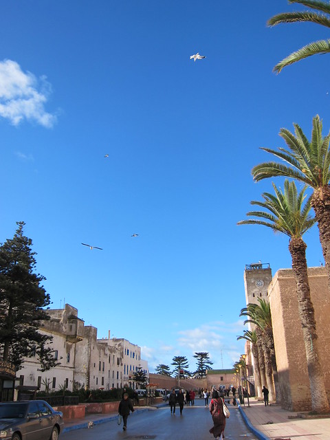 Essaouira - The Wind City Of Morocco