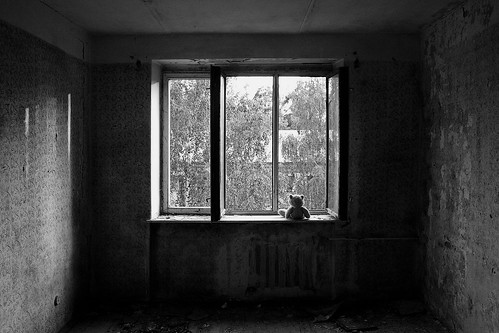 Photograph of child's bear looking out window in empty room