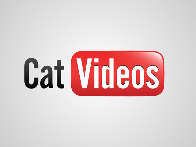 You Tube / Cat Videos