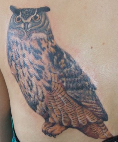 Owl Tattoo 1