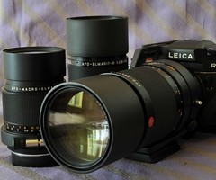 Leica R Lenses - All Cameras