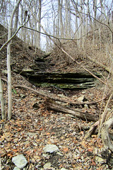 Stream Exposes Limestone and Shale in the Whitewater Gorge
