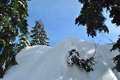 snowshoeing on mount seymour