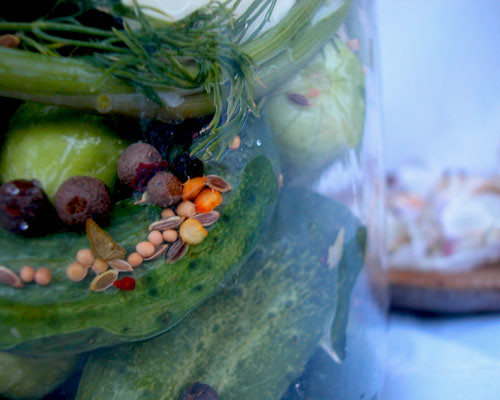 Sour Pickles - Fermented Food - Holistic Squid