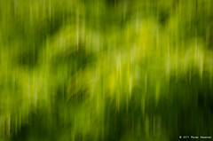 Landscape Blurs and other Nature Abstracts