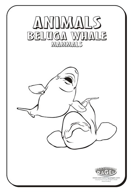 baby beluga coloring pages - photo #20